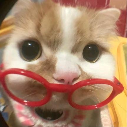 爱该怎么形容