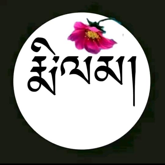 🪷