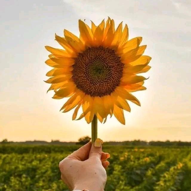 ཀ᭄善良ꦿ💞不ᩚ是ᩚ笨᭄࿆এ