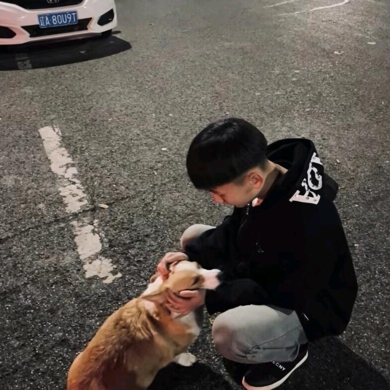 懒猫.