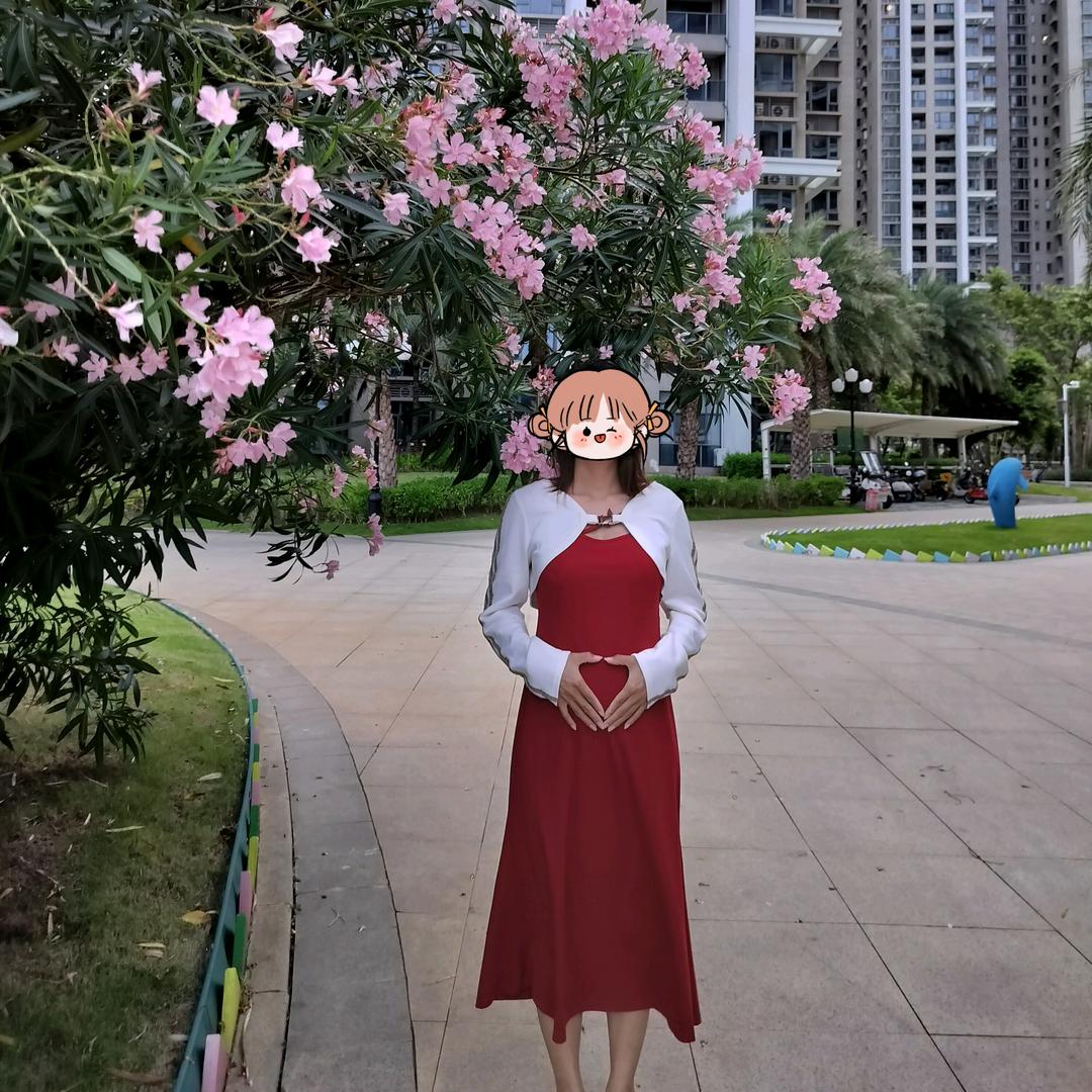 乖宝宝～安安成长记（孕晚期）