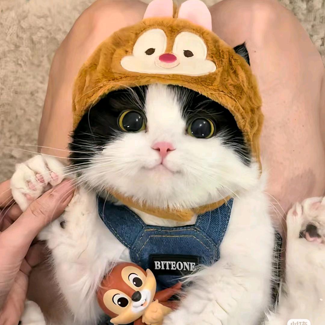 滁州市南谯区水度家具店