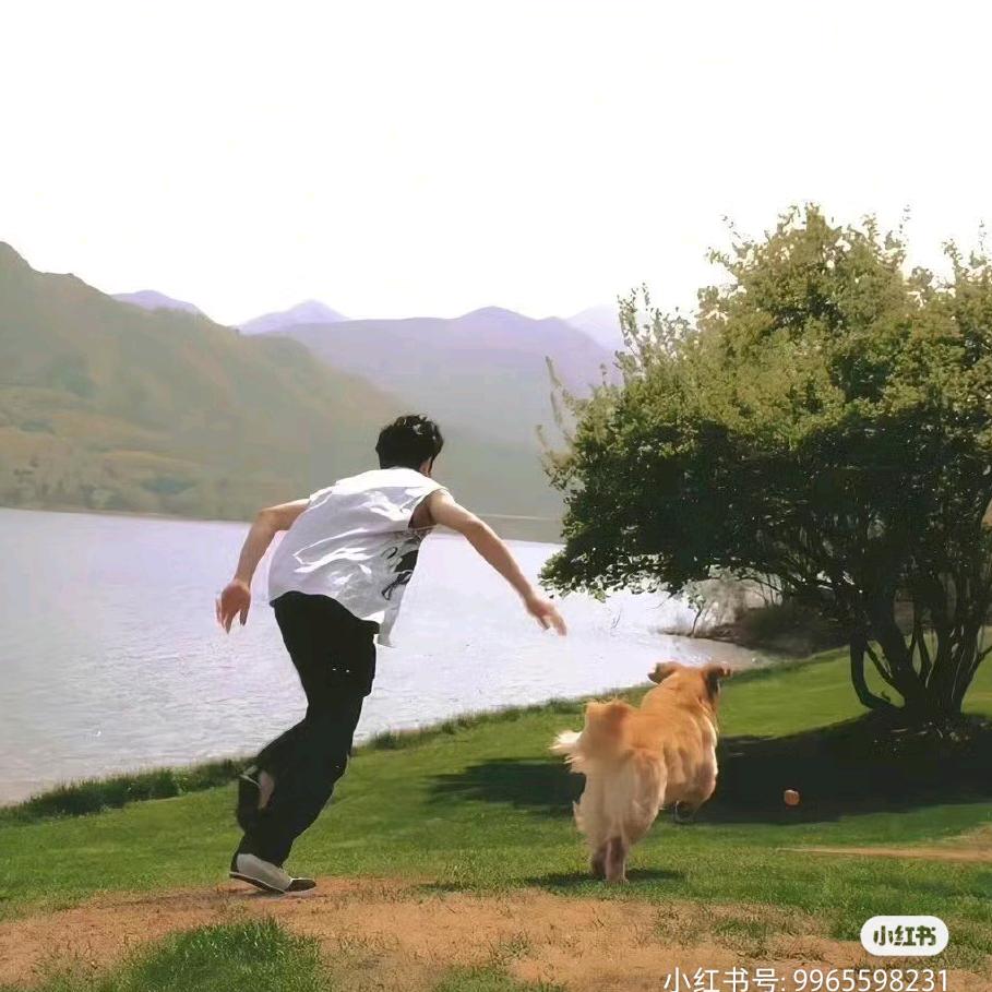 包包王
