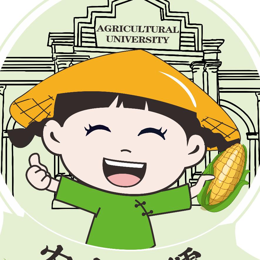 农大小糯玉米