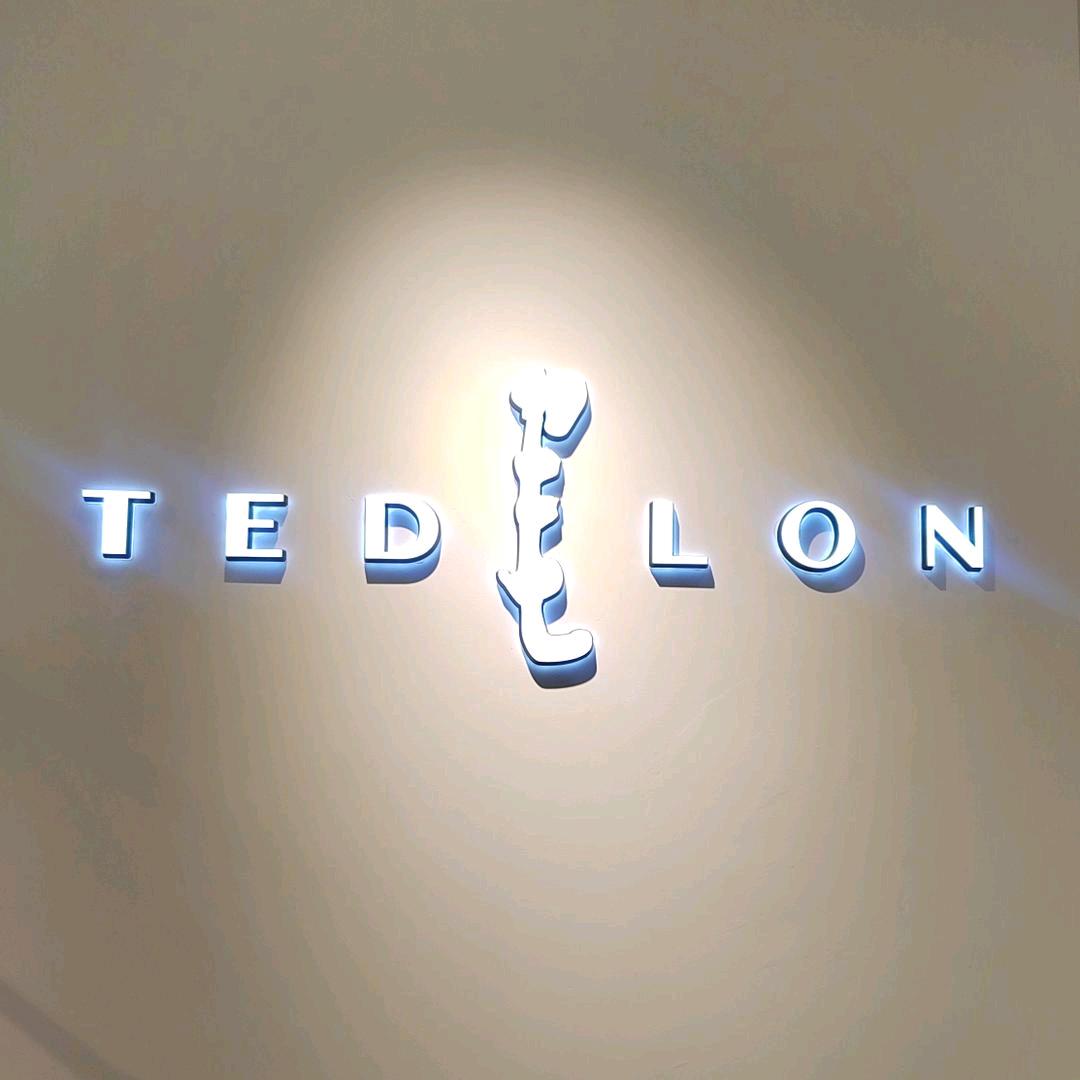 光谷大洋TEDELON