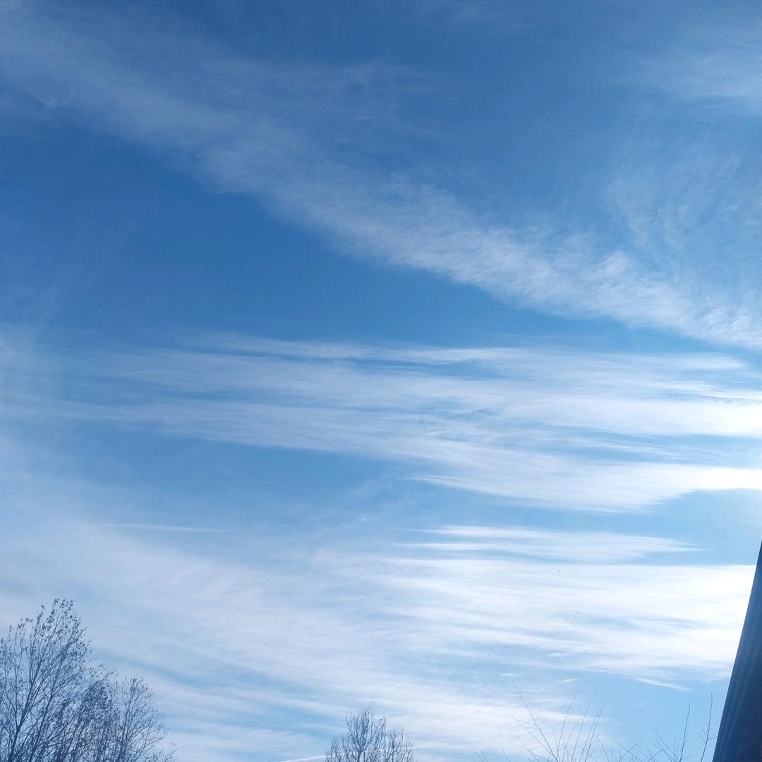 浅浅de理想主义