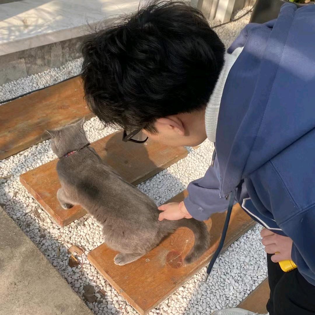 郑在办