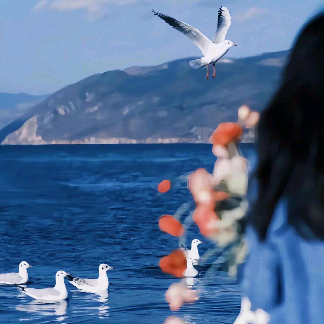 ᝰ᭄浅浅时光꧂²⁰²⁴