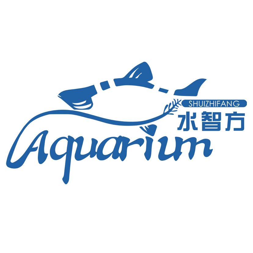 水智方宠龟水族专卖店生态鱼缸
