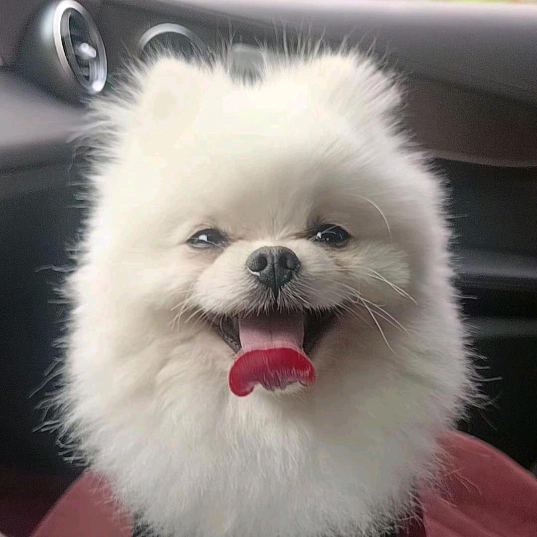 最亲爱D小地瓜²⁵⁷⁷