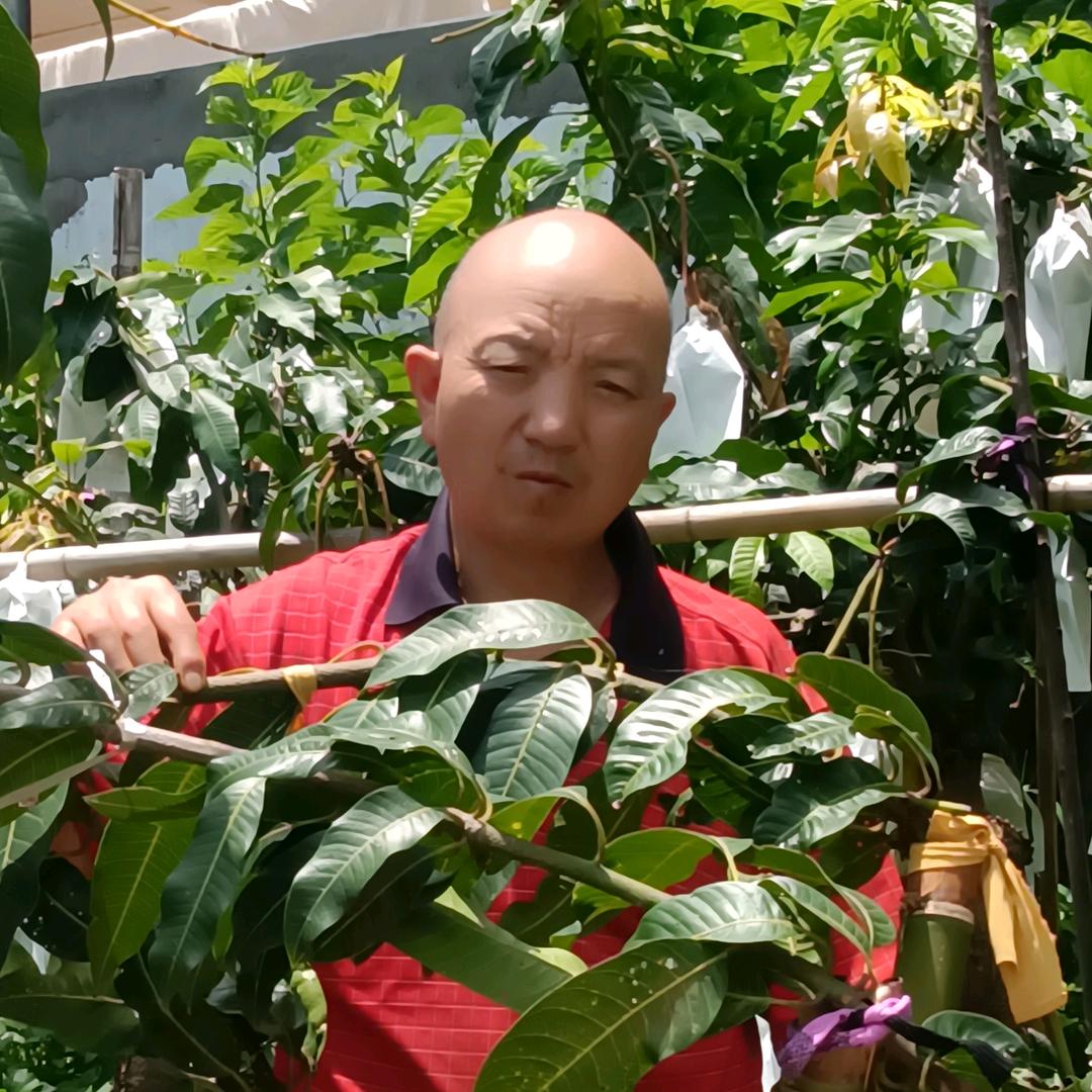 农村果农
