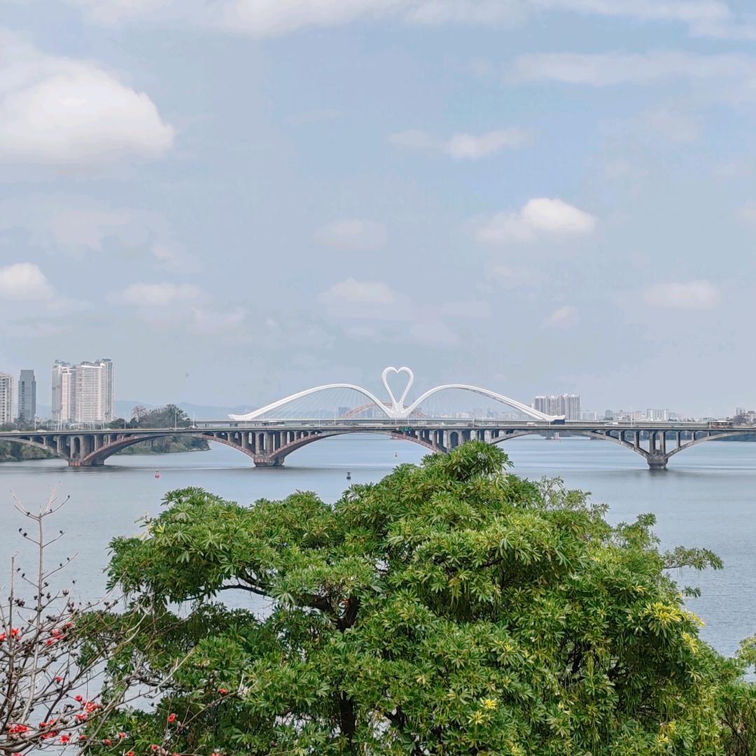 🍒🍒风雨无阻🍒🍒