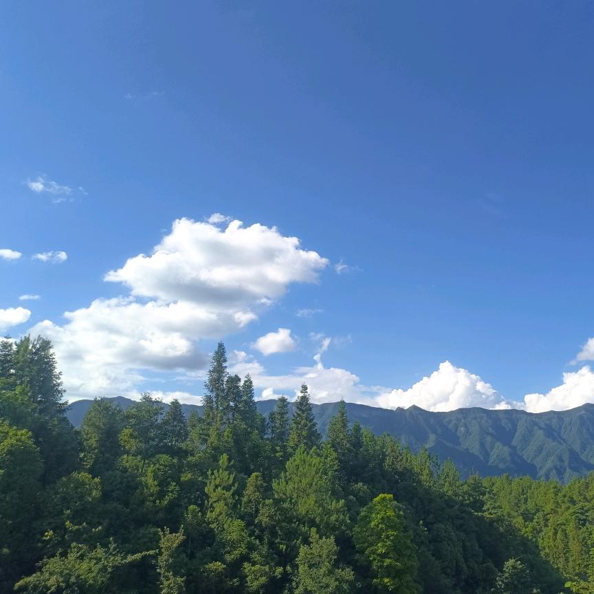 半城烟火半城觞