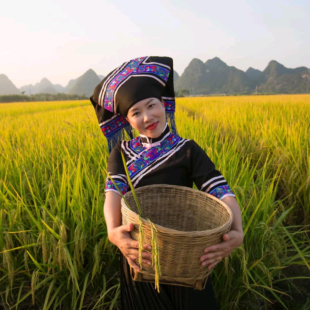 河池做桑蚕的琼姐