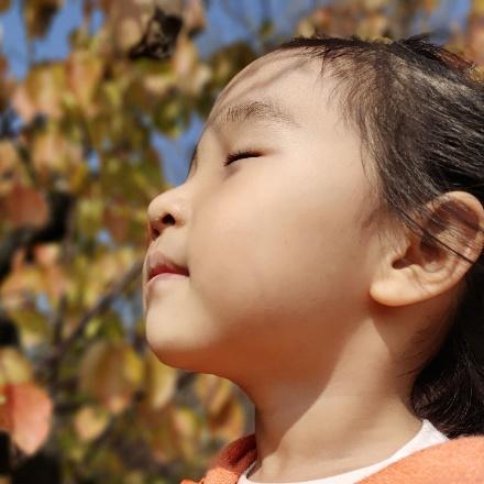 阳光下的向日葵