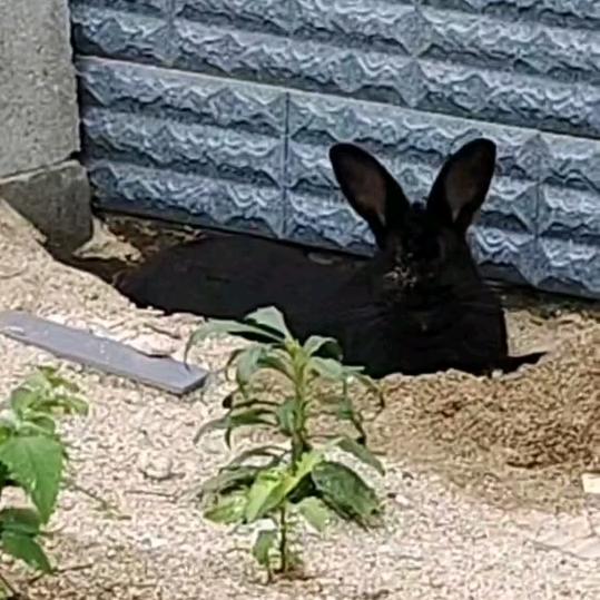 娃哈哈🍃((🌳⥎🌳))🍃