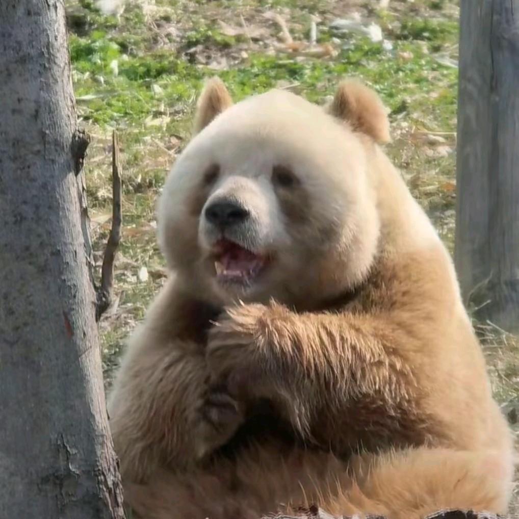 云深不知处💫