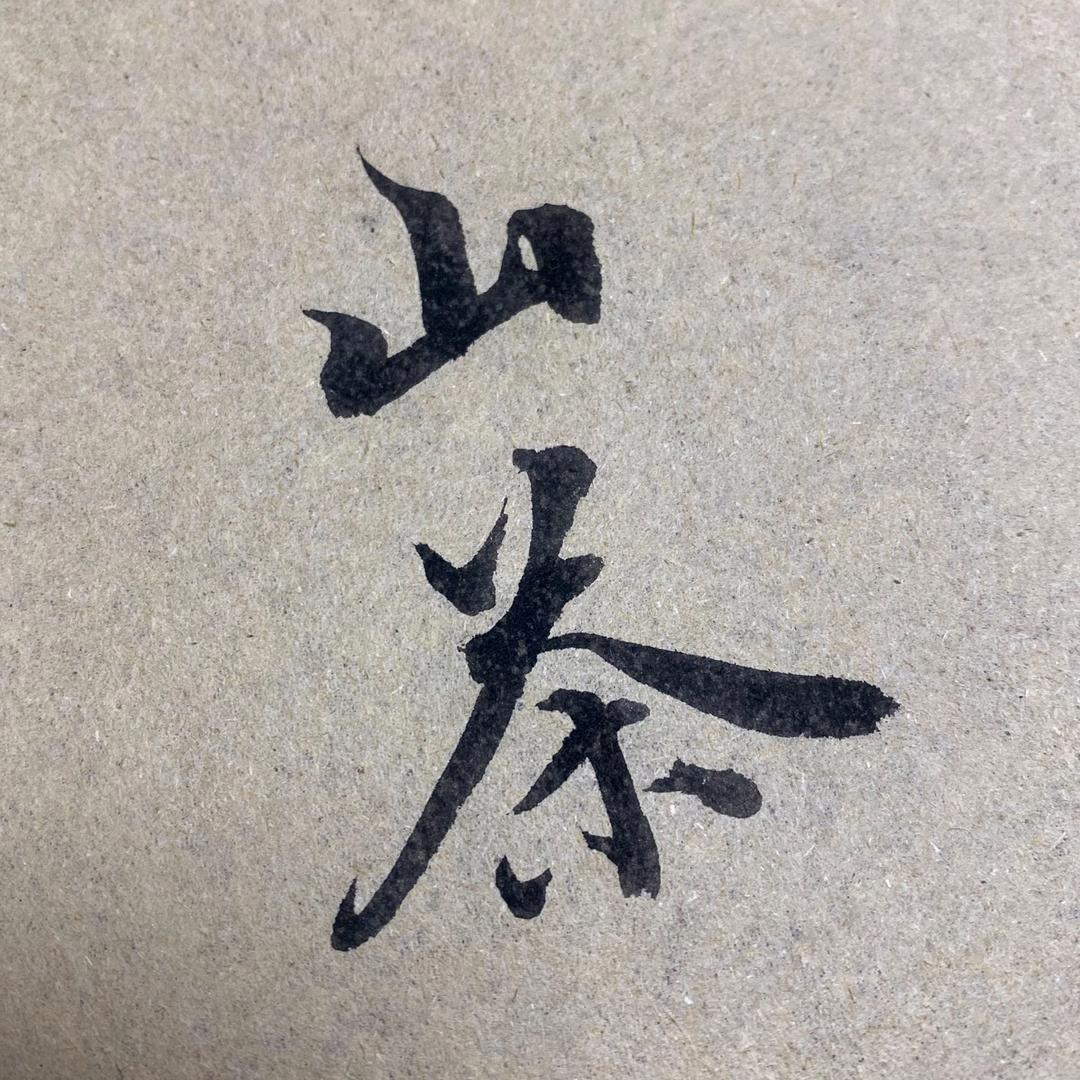 流浪在川西的山茶花