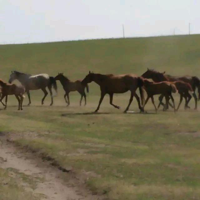 一切跟党走，党叫干啥咱干啥