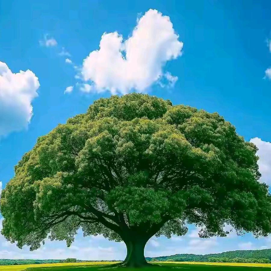 达佳欣信息咨询