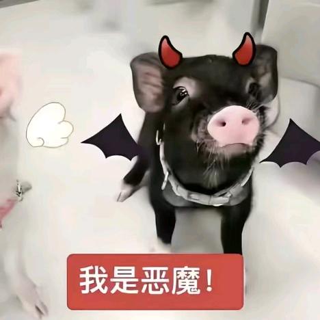 命乖