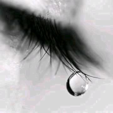 雨泽