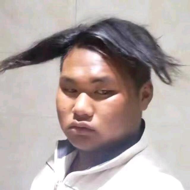只想去南方