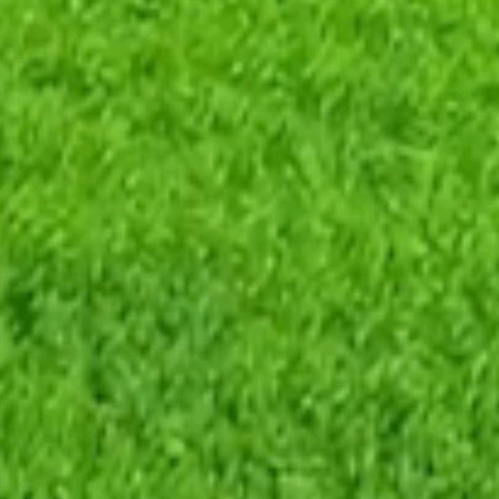 大哥