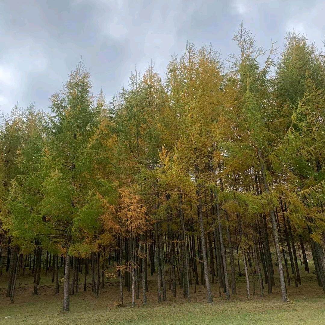 ❤ (ɔˆз(ˆ⌣ˆc)