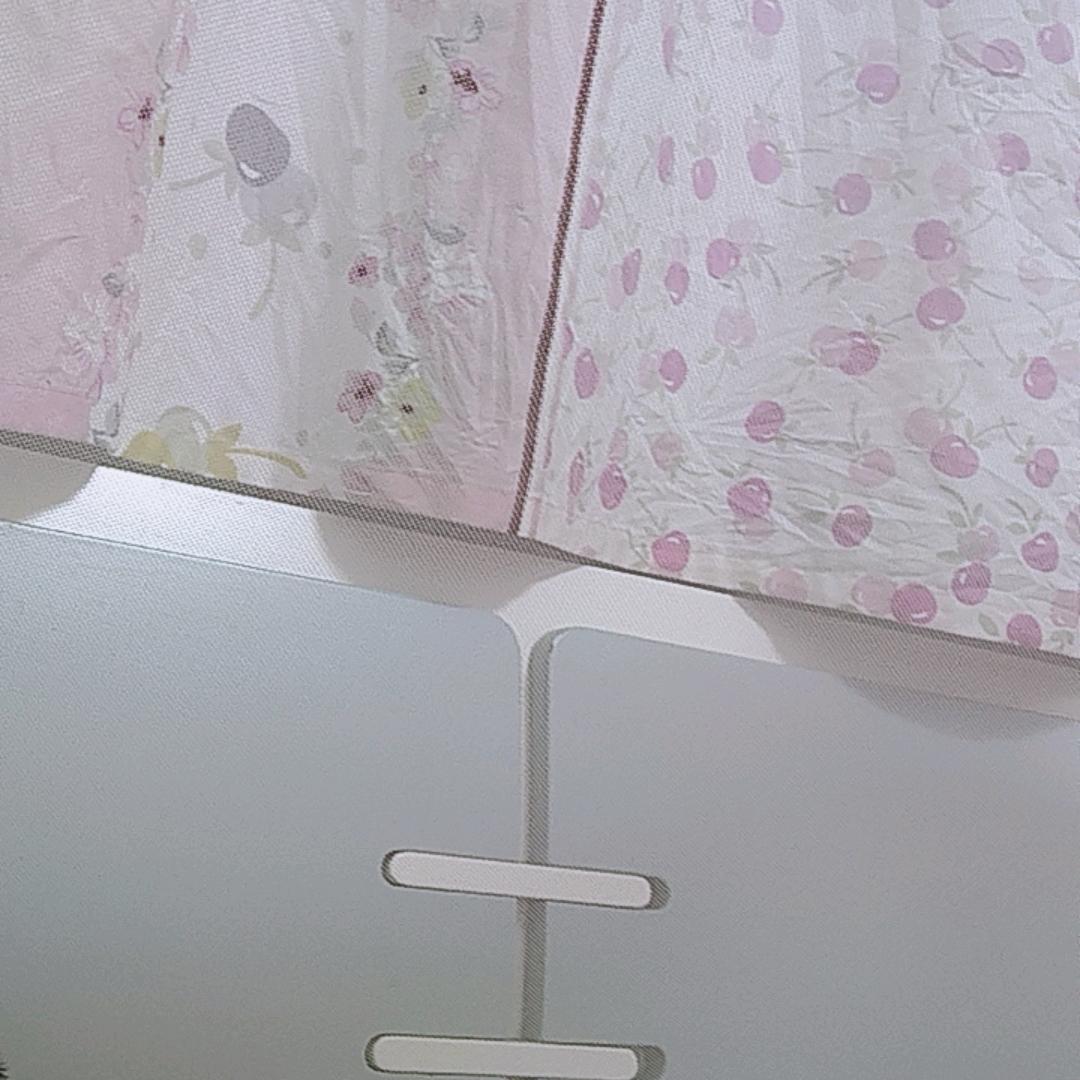 三石李