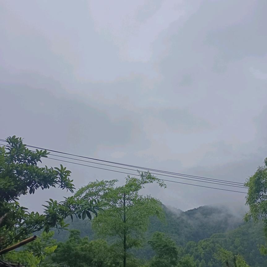罗单