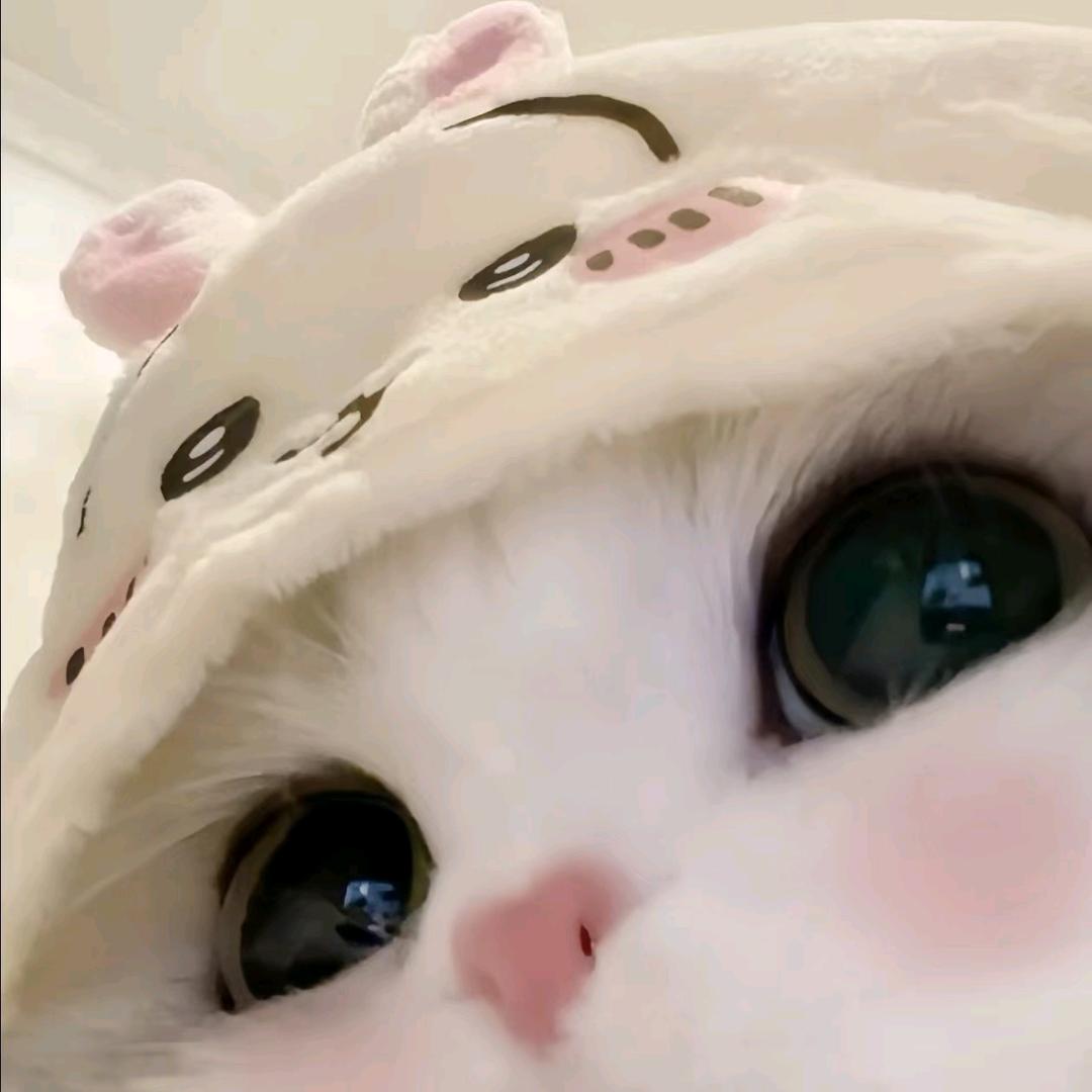 hhhh