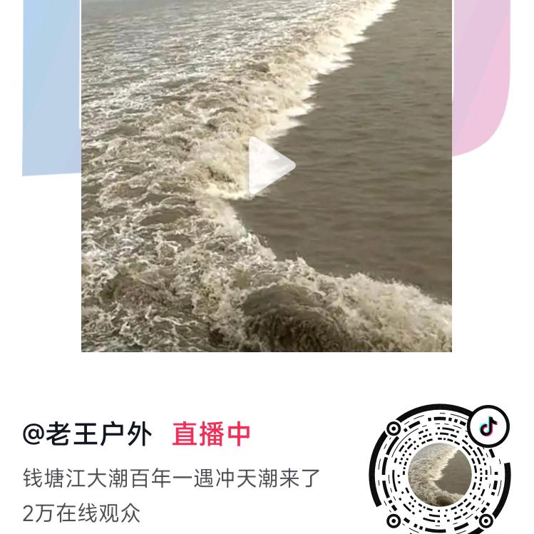 听海的声音