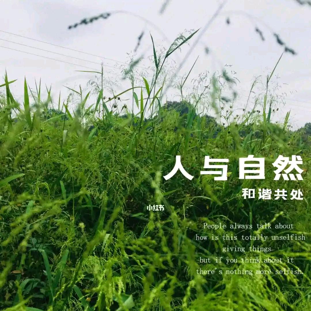 沐言