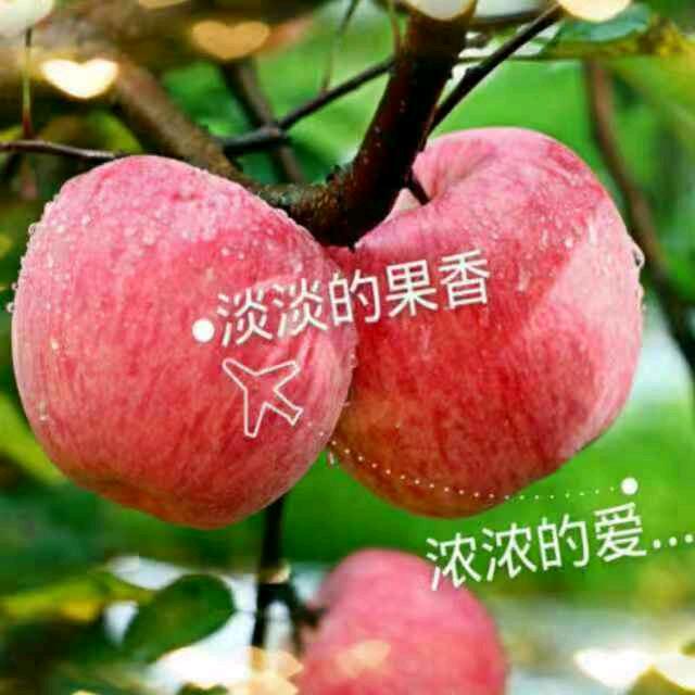 扯蛋的人心