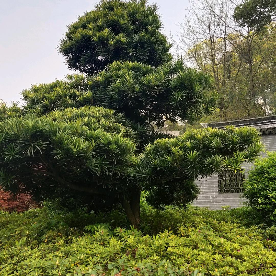90后单身小哥哥