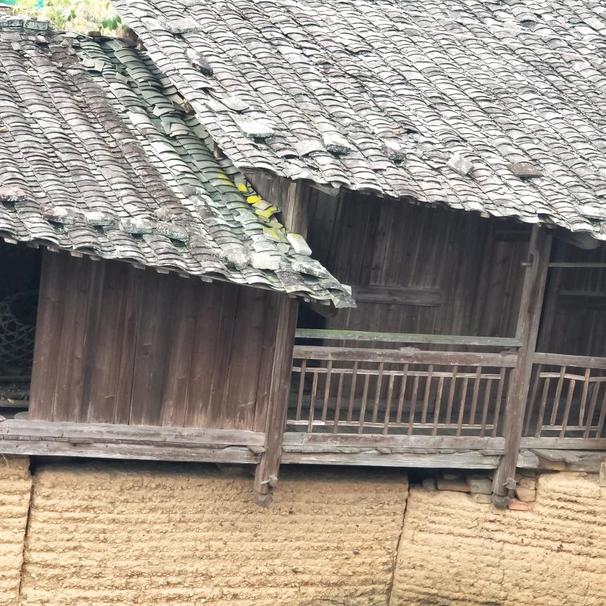 野草