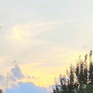 醉俗