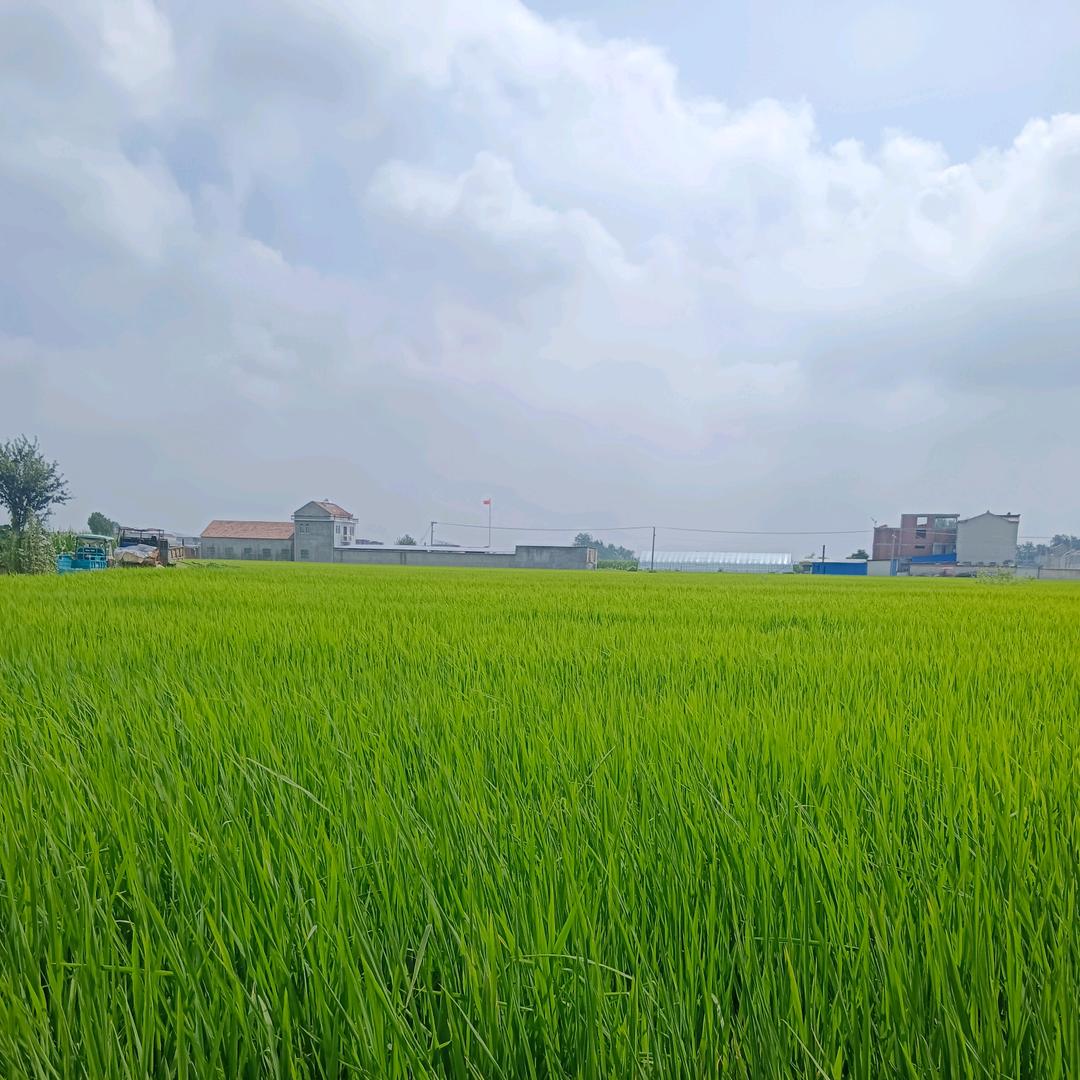 泽一