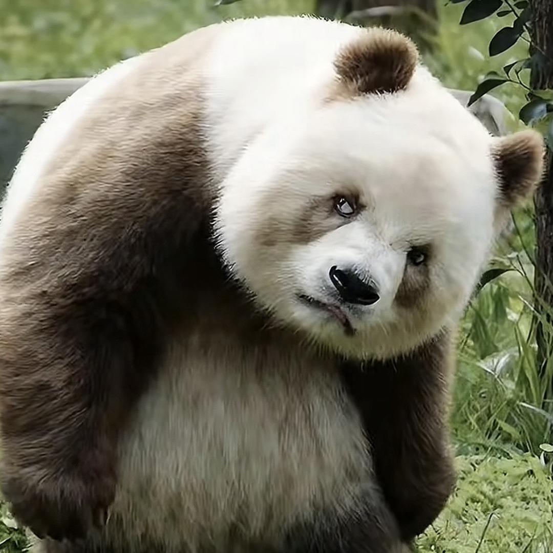 ᰔᩚ: ᝰꫛ遇见Lucky ꫀꪝ