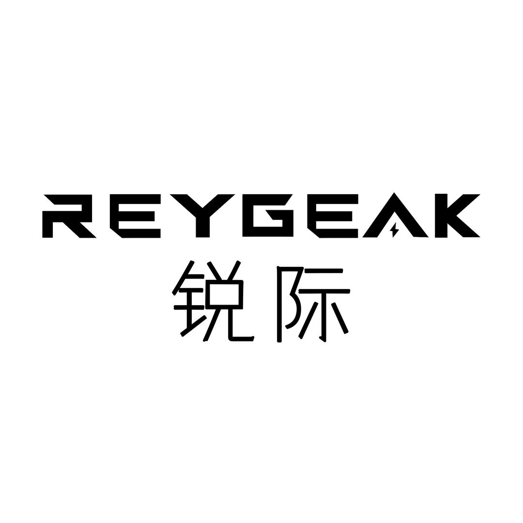 REYGEAK锐际影像
