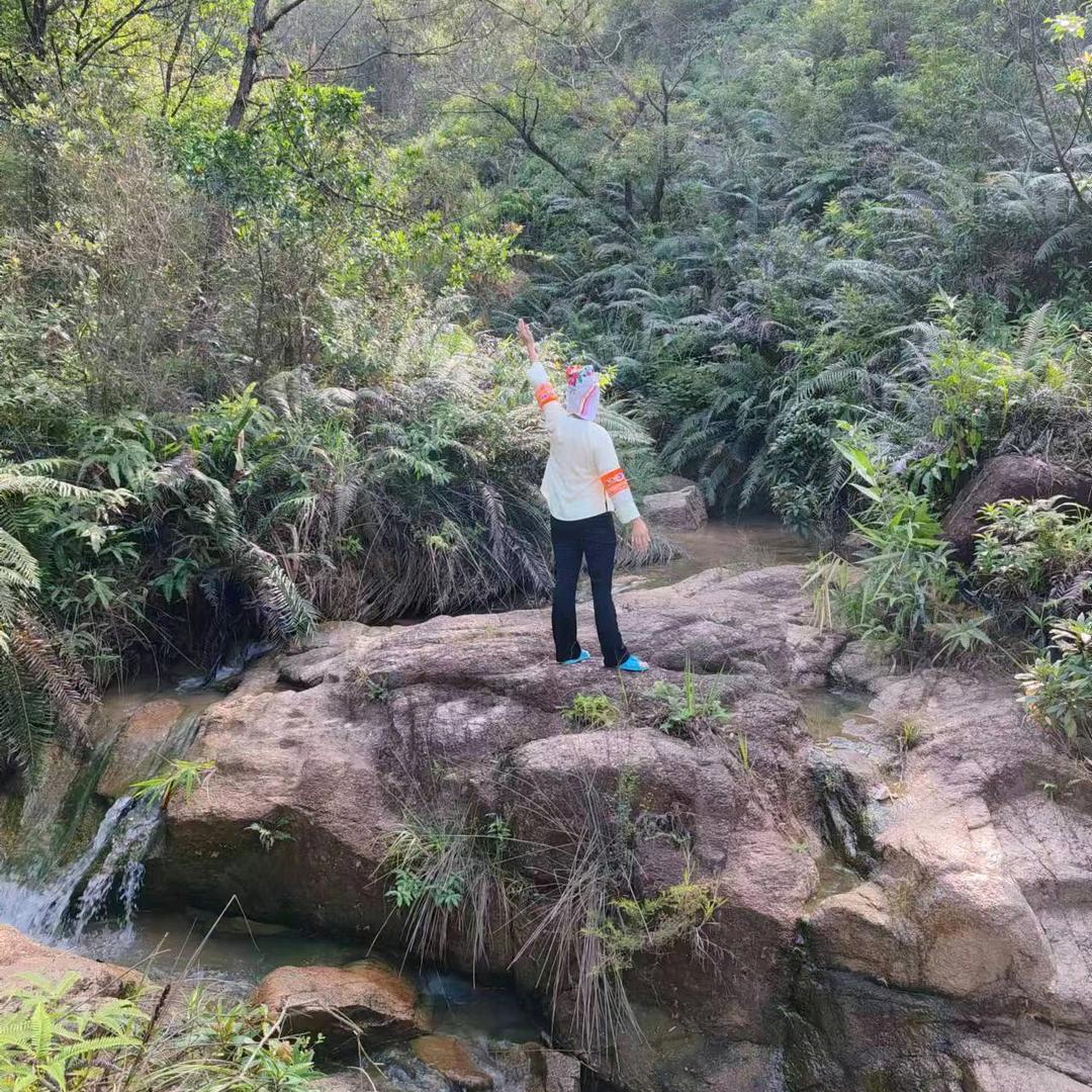 💞水晶百合💝💕💖
