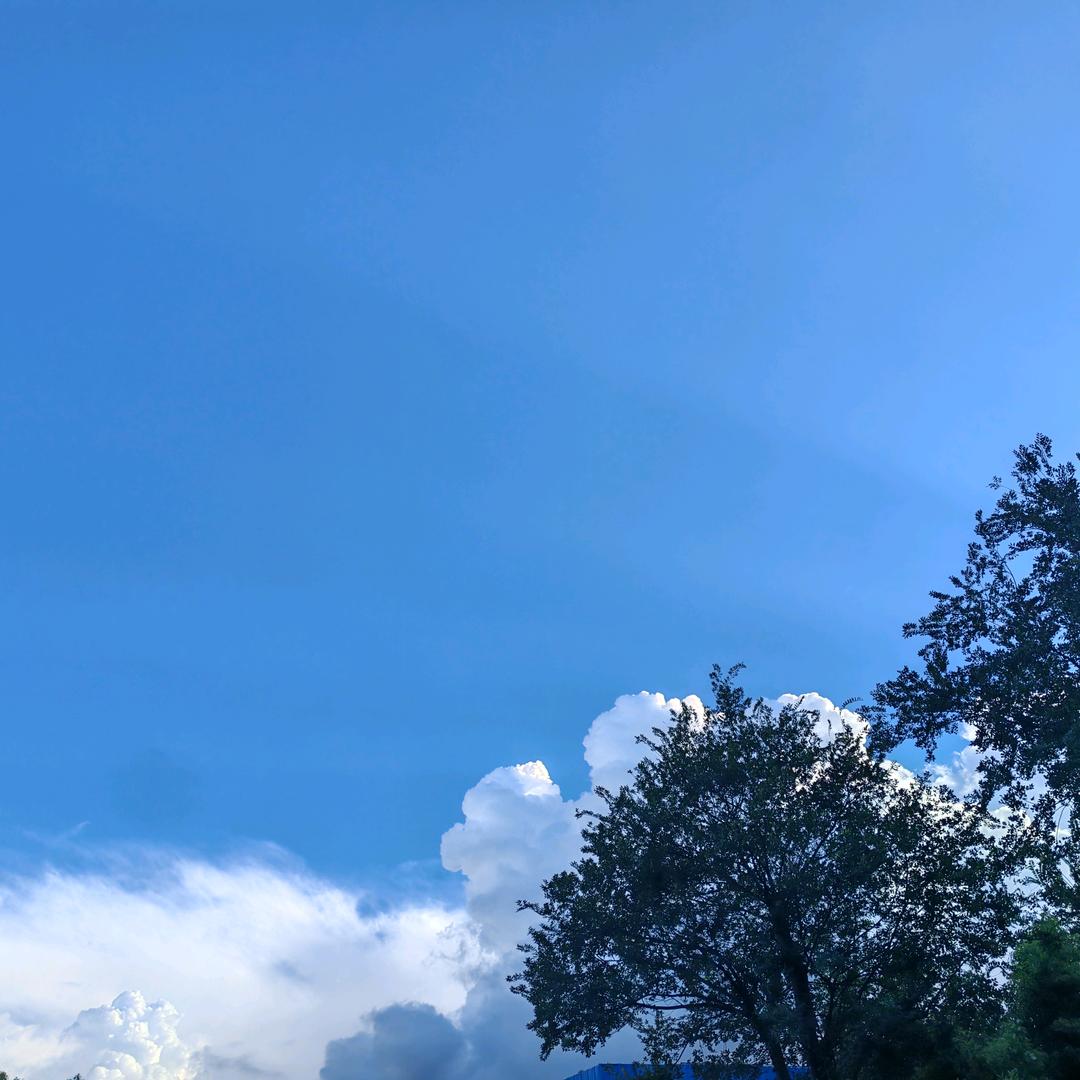 丢掉幻想