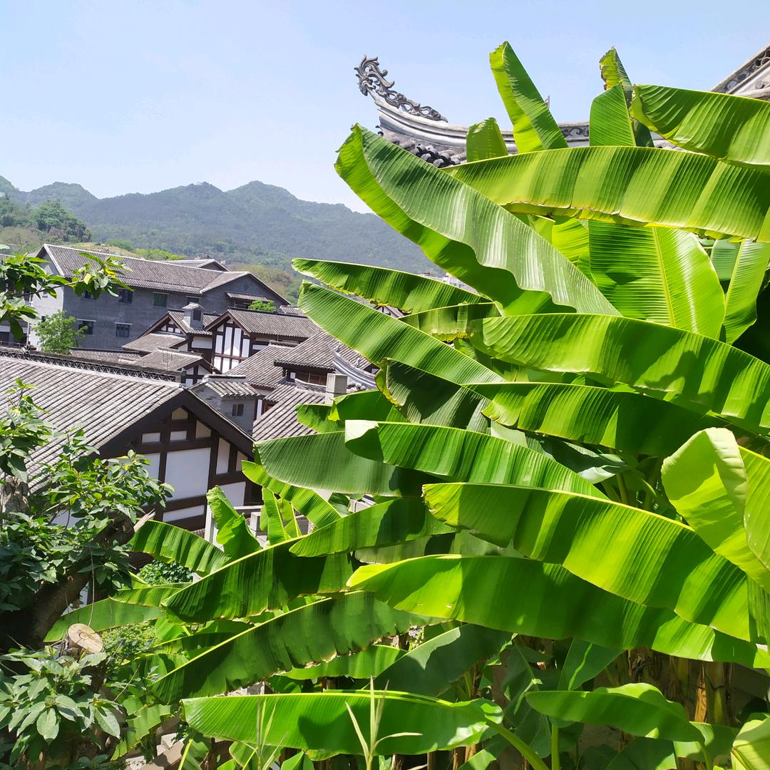 用户221422334