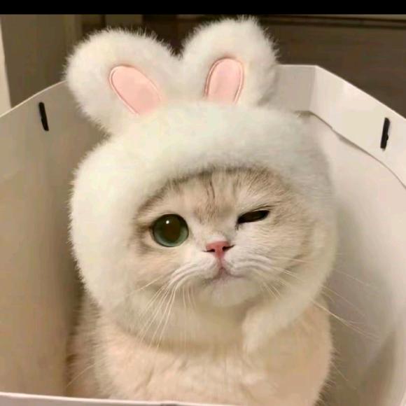 💕在你身边💕