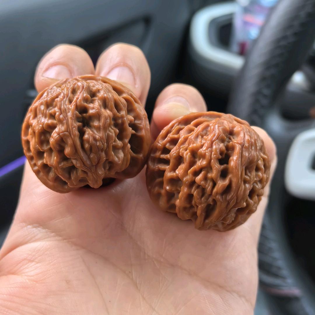 核桃芯儿