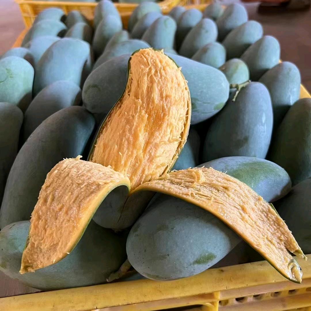 龙凤汤