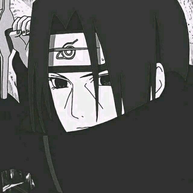 布俐啾啾迪布利多