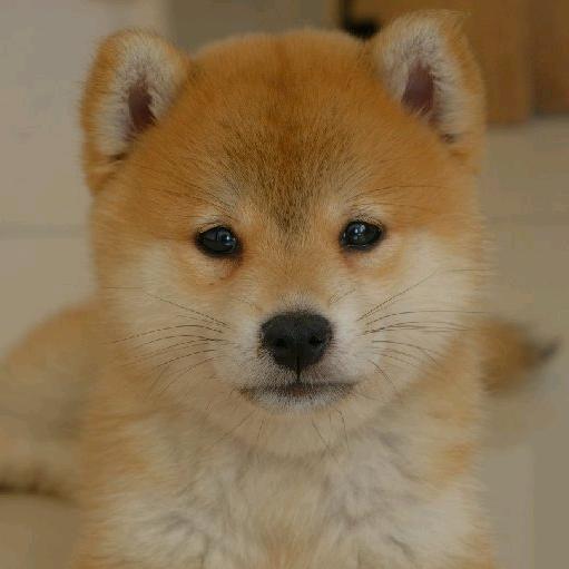 每天只写八千字