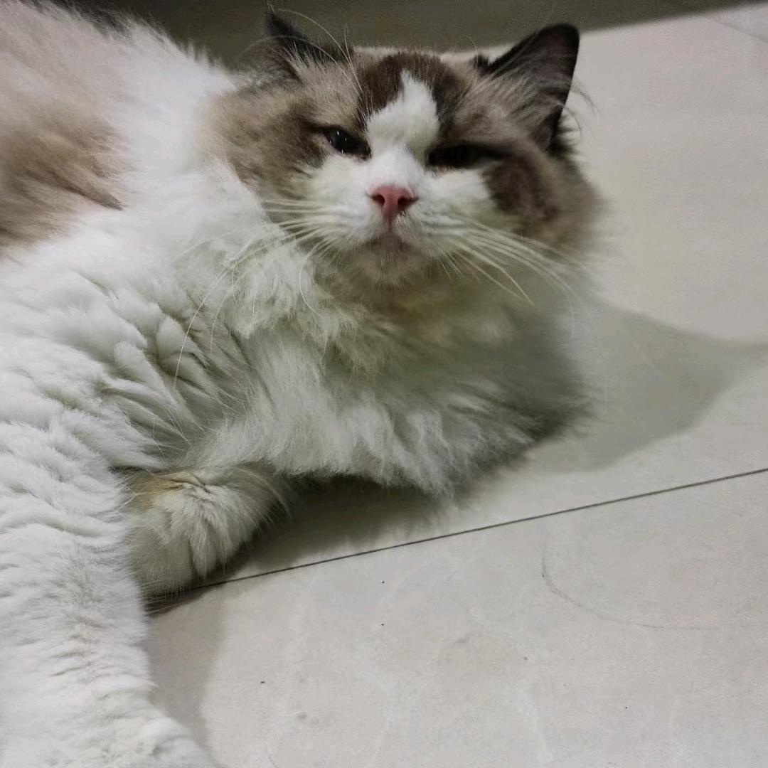 意兴阑珊